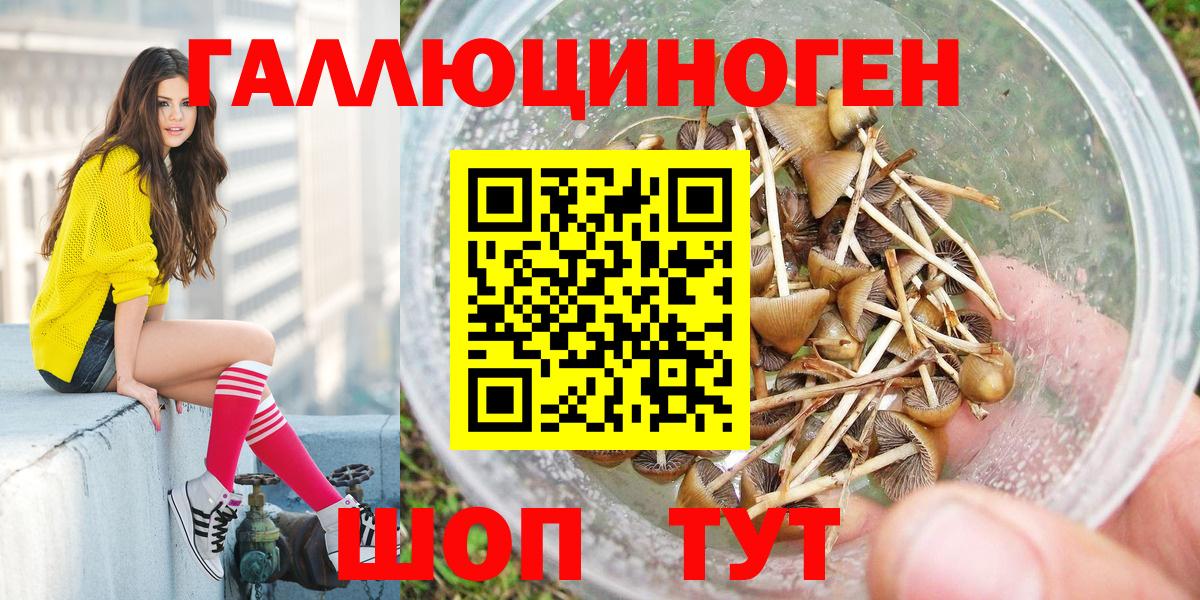 Галлюциногенные грибы Psilocybe Ленинск-Кузнецкий