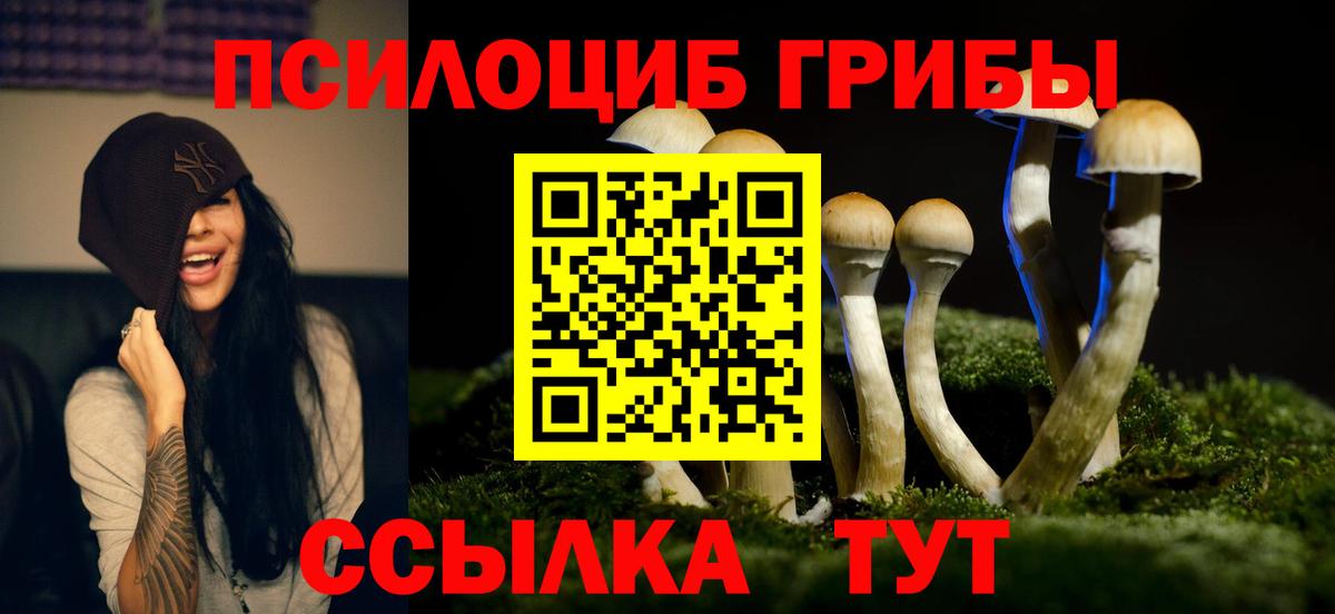Галлюциногенные грибы GOLDEN TEACHER  Вход с VPN  Ленинск-Кузнецкий 