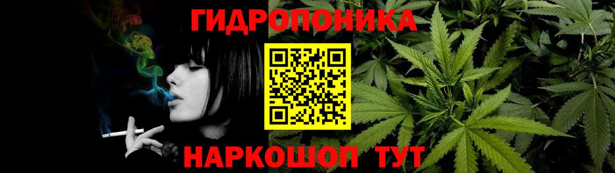 Бошки марихуана Bruce Banner  Вход с VPN  Ленинск-Кузнецкий  Бошки марихуана план  Канабис OG Kush 